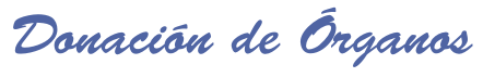 bienvenidos